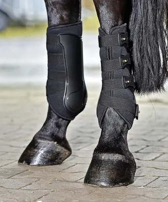 Produktbild von BUSSE Gamaschen Dressage- Pro Beinschutz Schwarz M