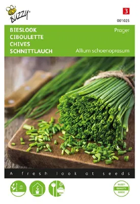 Produktbild von Buzzy Seeds Schnittlauch Feiner Kräutersamen - 1 Saatgutbeutel