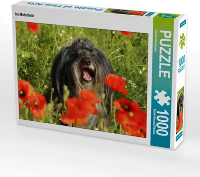 Produktbild von CALVENDO Puzzle Im Mohnfeld | 1000 Teile Lege-Größe 64x48cm Foto-Puzzle für glückliche Stunden