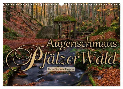 Produktbild von Augenschmaus Pfälzer Wald (Wandkalender 2027 DIN A3 quer), CALVENDO Monatskalender