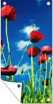 Produktbild von MuchoWow® 80x160 cm Outdoor-Poster Gartendeko Sichtschutz Garten Poster für den Garten  Mohnblumen für einen blauen Himmel