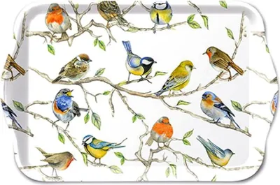 Produktbild von Tablett Melamin 21x13cm mit Singvögel Motiv Weiß / Bunt