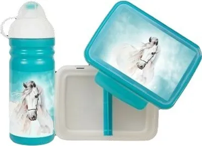 Zdjęcie produktu dla Zestaw R&B box i butelka Belus 700ml