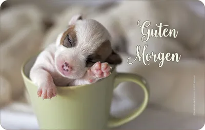 Produktbild von Hunde - Frühstücksbrettchen - Guten Morgen