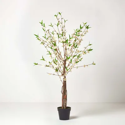 Obrázek produktu pro HOMESCAPES Umělý stromek s krémově bílými květy kisch, 155 cm vysoký