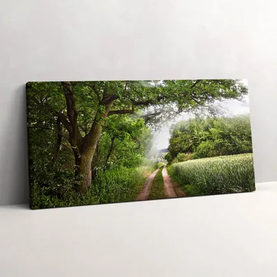 Produktbild von Weg, Bäume und Sonnenstrahlen – Leinwandbild Wandbild – 100x50 cm – Leinwandbilder – Wandbilder – Schlafzimmer – Flur