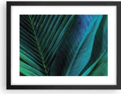 Produktbild von Gerahmtes Poster - Schwarzer Rahmen - Blatt Tropen Grün - 40x30 cm - Wand Bild - Wanddeko - Wandbilder - Kunstposter - Wandposter - Bilderrahmen - Bilder - Kunstdruck - P2BAA40x30-5071