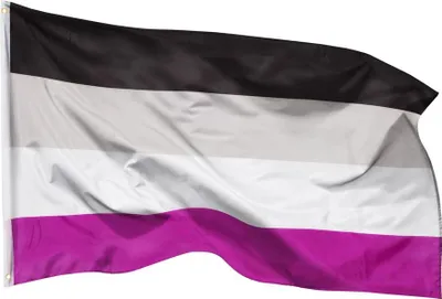 Produktbild von PHENO FLAGS Asexuelle Flagge Stolz LGBT 90x150cm Fahne Asexuellefahne 2 Ösen