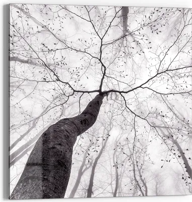 Produktbild von DEQORI Glasbild Echtglas 50x50 cm 'Stille Resilienz' Wandbild Bild modern Deko