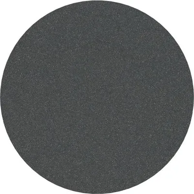 Produktbild von PRO F355 Schleifblatt, 125 mm, 240, 10-tlg.