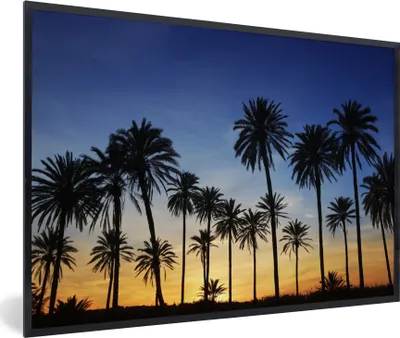 Produktbild von MuchoWow® Gerahmtes Poster Palme - Natur - Strand - Sonne - Nacht 90x60 cm - Poster mit Schwarzem Bilderrahmen Wandposter Rahmen Foto Bilder - Fotorahmen - Foto-Plakat