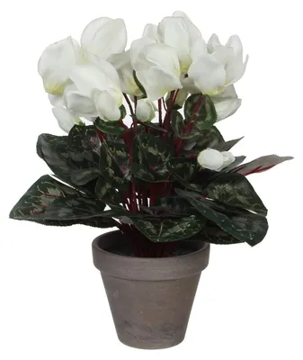 Obrázok produktu pre Mica Decorations Umelá rastlina cyklámen v kvetináči Stan - H30 x Ø30 cm - biela