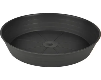 Immagine prodotto di Piattino PRIMAVERA in plastica antracite d34cm