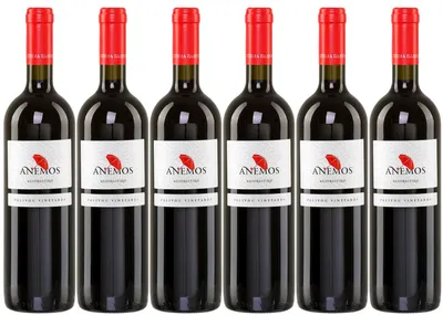 Produktbild von Anemos Rotwein 6x 0,75l | Trockener Rotwein aus Griechenland | Palivou Estate | +20ml Jassas Olivenöl