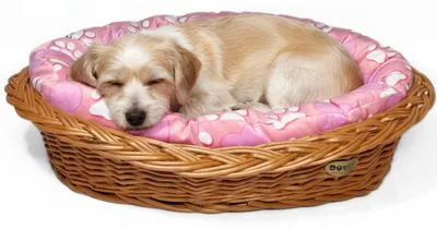 Produktbild von DOTTY Hundekorb Katzenkorb Weide Kissen M