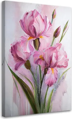 Produktbild von Leinwandbild Schwertlilien Blumen Rosa 70x100 Feeby Rosa bild für die wand bereit zum aufhängen