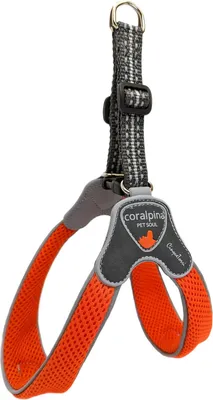 Immagine prodotto di Pettorina Cinquetorri morbida e traspirante per cani di piccola taglia - arancione - taglia 3