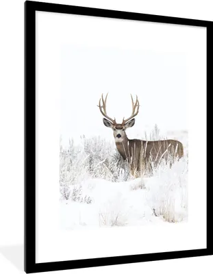 Produktbild von MuchoWow® Gerahmtes Poster Hirsche - Winter - Schnee - Tiere - Jahreszeiten - Weiß 60x80 cm - Poster mit Schwarzem Bilderrahmen Wandposter Rahmen Foto Bilder - Wohnzimmer - Dekorationen - Prämie
