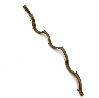 Immagine prodotto di BioThai Liane 1-2 cm / 50 cm