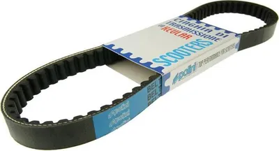 Obrázek produktu pro Polini Keilriemen Polini Verst. 18,5X802 Mm