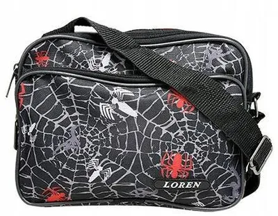 Obrázek produktu pro Pánská crossbody taška Loren z polyesteru černá 26x20x8 cm