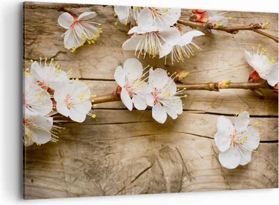 Produktbild von Bild auf Leinwand - Leinwandbild - Blume Stängel - 100x70cm - Wand Bild - Wanddeko - Wandbilder - Leinwanddruck - Bilder - Kunstdruck - Wanddekoration - Leinwand bilder - Wandkunst - AA100x70-3537