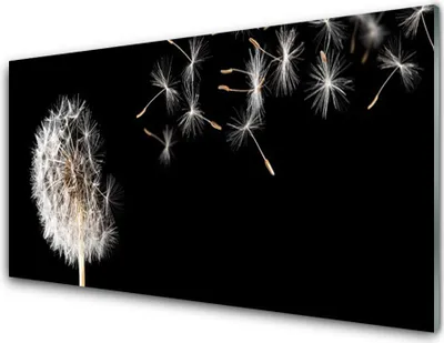 Produktbild von Acrylglasbilder 100x50 Wandbild Druck Pusteblume Pflanzen
