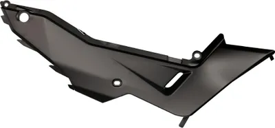Immagine prodotto di Rivestimento laterale RACETECH