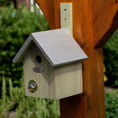Produktbild von Nistkasten für Blaumeisen, Meisenkasten, Vogel-Nisthilfe Meisen