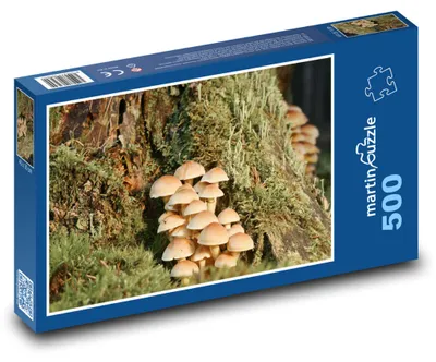 Produktbild von Puzzle 500 Waldpilzkönigreich - martinpuzzle