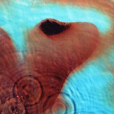 Image de Pink Floyd - Meddle (Réédition) (Remastered) (180g) (LP)