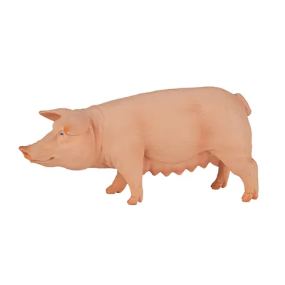Produktbild von Animal Planet Schwein