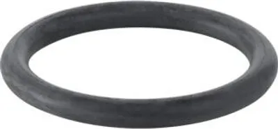 Zdjęcie produktu dla Geberit 892975001 O-ring do przyłącza spustowego od modelu 77
