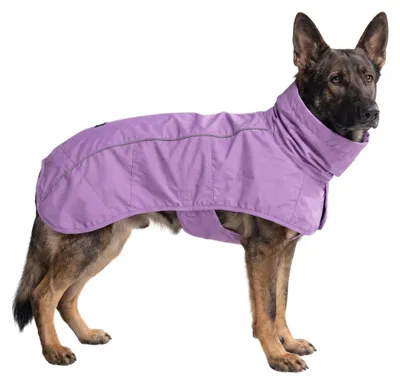 Hunderegenjack wasserdicht reflektierend lila 3XL