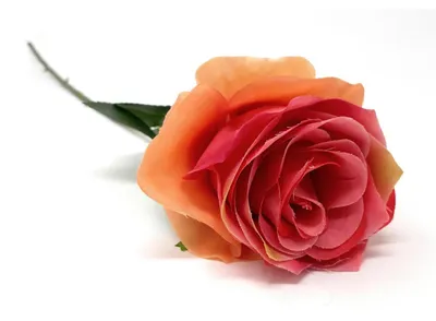 Produktbild von künstliche Rose SIMONE pink H. 45cm D. 7cm Emerald