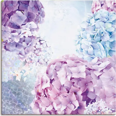 Produktbild von ARTland Leinwandbild Blau und Pink Hortensie Größe: 50x50 cm