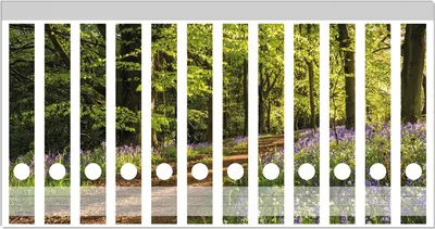 Produktbild von Wallario Ordnerrücken Sticker, selbstklebend für schmale Ordner, 12 Stück, Motiv Blaues Hasenglöckchen im Sommerwald