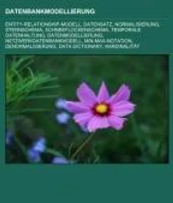 Produktbild von Datenbankmodellierung