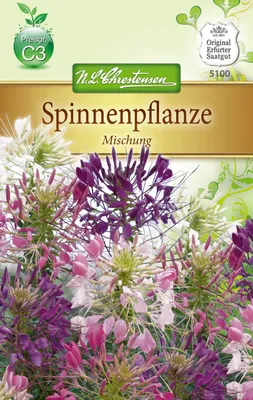 Produktbild von Spinnenpflanze Mischung  | Spinnenblumensamen von N.L. Chrestensen