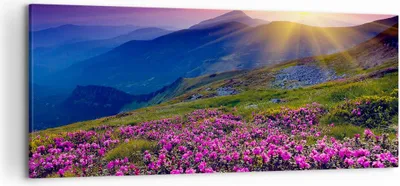 Produktbild von Bild auf Leinwand - Leinwandbild - Wiese Berge Landschaft - 120x50cm - Wand Bild - Wanddeko - Leinwanddruck - Bilder - Kunstdruck - Wanddekoration - Leinwand bilder - Wandkunst - AB120x50-2676