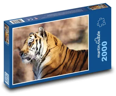 Produktbild von Puzzle 2000 Tiger in der Wildnis - martinpuzzle