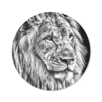 Produktbild von MuchoWow® Mauspad Mousepad Porträt - Löwe - Schwarz - Weiß 50x50 cm - Mousepads - Maus Mat - Pad - Mausunterlage - Vinyl