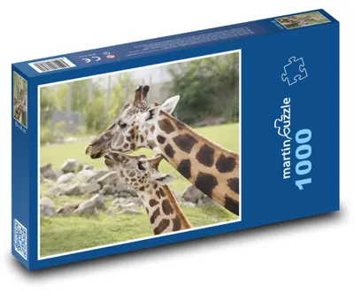 Produktbild von Puzzle 1000 Giraffen in der Savanne - martinpuzzle