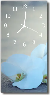 Produktbild von Tulup Glasuhr Wanduhr Küchenuhr Echt-Glas 30x60 Orchidee Weiß