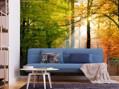 Produktbild von Vlies Fototapete Wald 400x280 cm Tapeten Wandtapete XXL Bäume grün orange Natur Landschaft c-B-0444-a-a