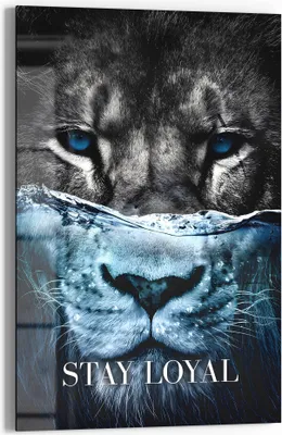 Produktbild von DEQOART Glasbild Echtglas 40x60 cm 'Treuer Blick' Wandbild Bild modern Deko