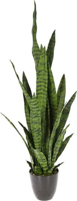 Produktbild von Künstliche Sanseviera im Topf 92 cm