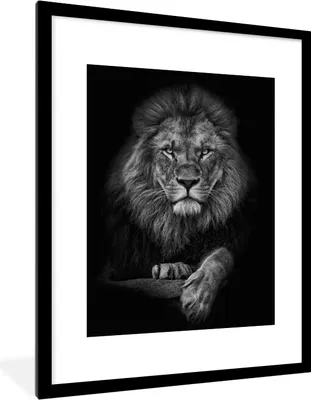 Produktbild von MuchoWow® Gerahmtes Poster Löwe - Tiere - Schwarz - Weiß 60x80 cm - Poster mit Schwarzem Bilderrahmen Wandposter Rahmen Foto Bilder - Wohnzimmer - Dekorationen - Prämie