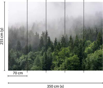 Produktbild von Tadessi Fototapete | Wald | 3.50 m x 2.55 m | Grün | Weiß | Wandbild | Digitaldruck