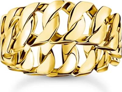 Produktbild von Thomas Sabo Rebel Basics TR2497-413-39 Ring, Ringgröße:58